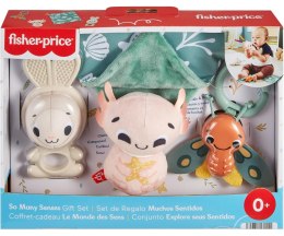 Fisher Price HRB17 Zestaw Sensoryczny