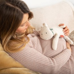 Pozytywka ciążowa króliczek mamilodie sigikid